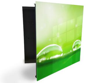 Glasdekor skříňka na klíče - detail rosy na zeleném - Levé / Černá