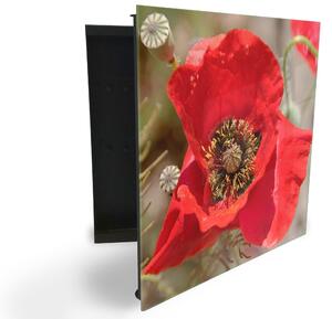 Glasdekor skříňka na klíče - detail červený květ vlčí mák - Pravé / Černá