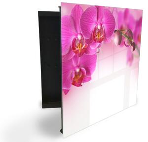 Glasdekor skříňka na klíče - květy tmavě růžová orchidej - Levé / Černá