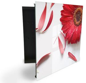 Glasdekor skříňka na klíče - květ červené gerbery na bílém - Levé / Černá