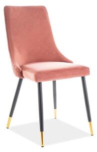 Jídelní čalouněná židle NOPI velvet starorůžová/černá/zlatá