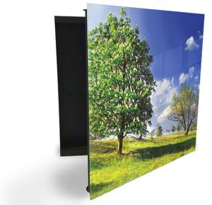 Glasdekor skříňka na klíče - jarní louka stromy - Levé / Černá