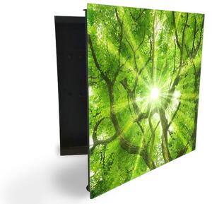 Glasdekor skříňka na klíče - sluneční paprsky v jarní koruně stromu - Levé / Černá