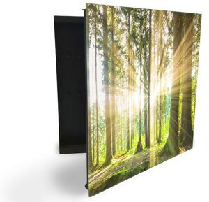 Glasdekor skříňka na klíče -sluneční paprsky mezi stromy v lese - Levé / Černá