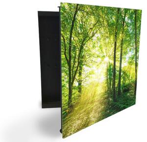Glasdekor skříňka na klíče - krásně zelený les a slunce - Pravé / Černá