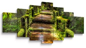 Obraz schodů v deštném pralese (210x100 cm)