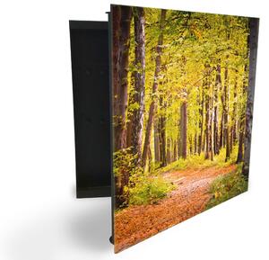 Glasdekor skříňka na klíče - pěšina v lese - Pravé / Černá