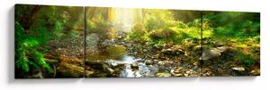Obraz řeky v zeleném lese (170x50 cm)