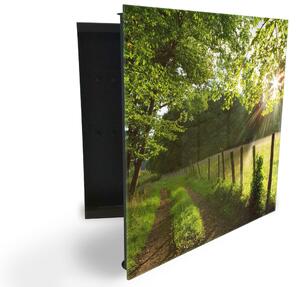 Glasdekor skříňka na klíče - les se slunečními paprsky a cestou - Levé / Černá