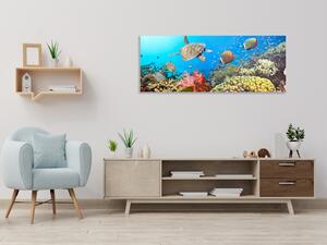 Obraz skleněný mořský svět - 30 x 60 cm