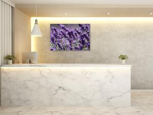 Obraz skleněný květy fialové levandule - 50 x 70 cm