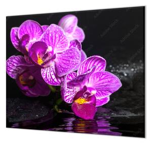 Ochranná deska květ orchideje na zen kameni - 50x70cm / S lepením na zeď