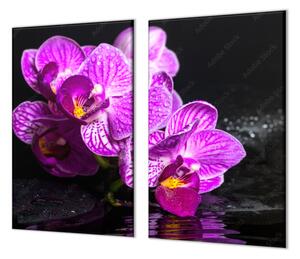 Ochranná deska květ orchideje na zen kameni - 52x60cm / S lepením na zeď