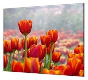 Ochranná deska pole červených tulipánů - 52x60cm