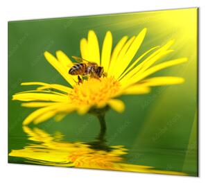 Ochranná deska včela na žluté kopretině - 52x60cm