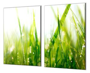 Ochranná deska zelená tráva s rosou - 60x90cm / S lepením na zeď
