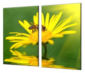 Ochranná deska včela na žluté kopretině - 50x70cm / Bez lepení na zeď