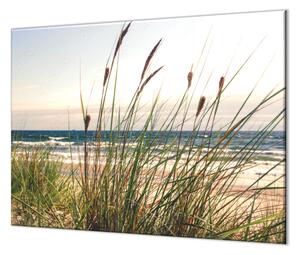 Ochranná deska tráva na pláži a moře - 50x50cm