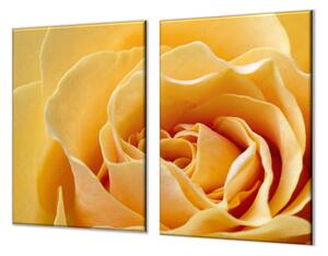 Ochranná deska květ žluté růže - 52x60cm