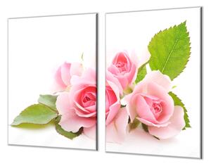Ochranná deska květ růžové růže - 52x60cm / S lepením na zeď