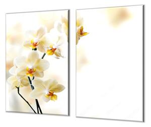 Ochranná deska květy žluté orchideje - 52x60cm / S lepením na zeď