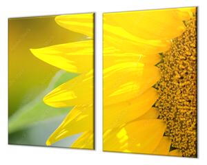 Krájecí podložka detail květ slunečnice - 50x70cm / Bez lepení na zeď