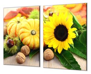 Ochranná deska dekorace podzimní plody - 70x70cm / Bez lepení na zeď