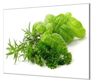Ochranná deska zelené bylinky na bílém pozadí - 50x70cm / Bez lepení na zeď