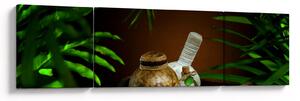 Obraz spa věcí (170x50 cm)