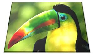 Skleněné prkénko barevný papoušek tukan - 30x20cm