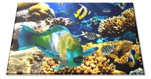 Skleněné prkénko ryba, korály, mořský svět - 30x20cm