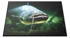Skleněné prkénko dravá ryba sumec - 30x20cm
