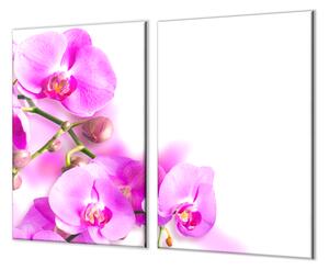 Skleněný kryt na stěnu květy fialové orchideje - 52x60cm / S lepením na zeď