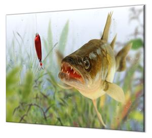 Ochranná deska candát ryba - 52x60cm / S lepením na zeď