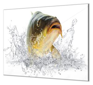 Ochranná deska ryba kapr lysec - 40x40cm / Bez lepení na zeď