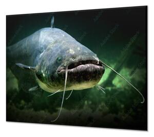 Ochranná deska sumec dravá ryba - 50x70cm / Bez lepení na zeď