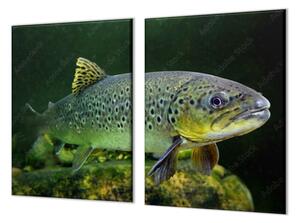 Ochranná deska ryba pstruh pod hladinou - 52x60cm / S lepením na zeď