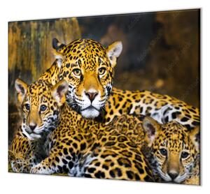 Ochranná deska šelma jaguár s mláďaty - 50x70cm / S lepením na zeď