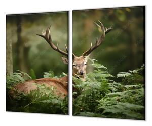Ochranná deska velký jelen v přírodě - 2x 30x52cm
