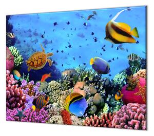 Ochranná deska mořský svět rybky, sasanka - 52x60cm