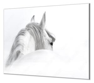Ochranná deska silueta andaluského koně - 52x60cm / Bez lepení na zeď