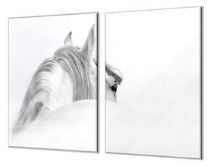 Ochranná deska silueta andaluského koně - 52x60cm / S lepením na zeď