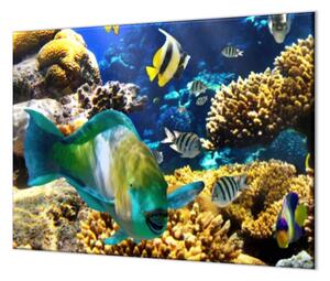 Ochranná deska mořský svět, korály, ryba - 52x60cm