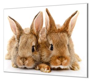 Ochranná deska dva roztomilí králici - 40x40cm / S lepením na zeď