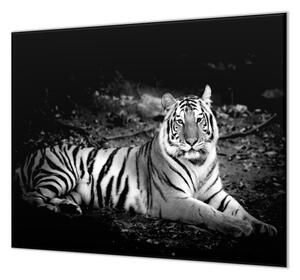Ochranná deska bílý tygr, černý podklad - 50x70cm / Bez lepení na zeď