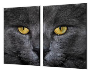 Ochranná deska detail obličeje černá kočka - 52x60cm / Bez lepení na zeď