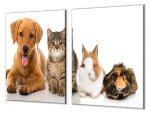 Ochranná deska zvířata pes, kočka, králík, morče - 52x60cm / S lepením na zeď