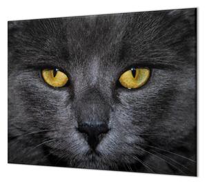 Ochranná deska detail obličeje černá kočka - 52x60cm