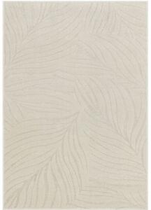 Breno Kusový koberec HESTIA 4001 - 0242, 80x150 cm, Béžová
