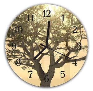 Nástěnné hodiny kulaté pr.30cm slunce v koruně stromu - plexi